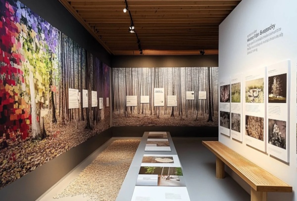 展廳設(shè)計(jì)的靈魂密碼：如何精準(zhǔn)提煉核心元素？