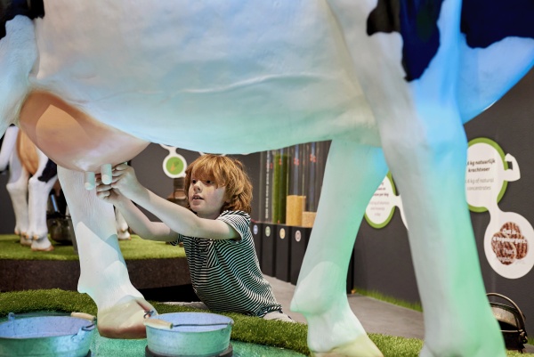 奶酪體驗(yàn)中心展廳設(shè)計(jì)